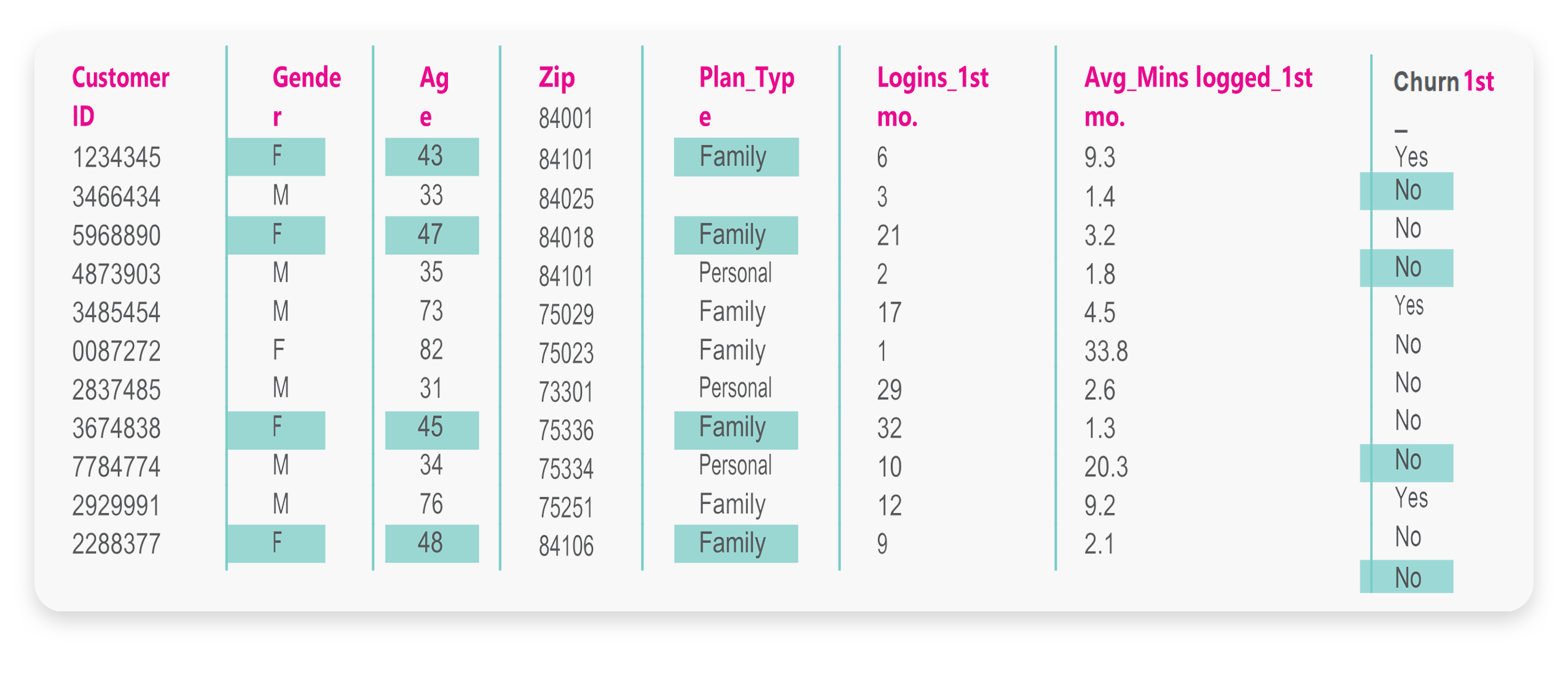 Screenshot of an AutoML data table of female customers in their 40s on a family plan during their first year.